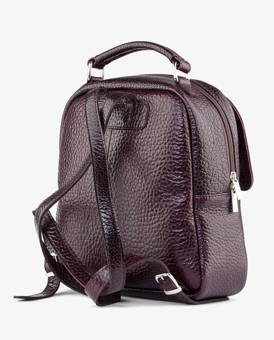 Diana Florian City Backpack in Oxblood Pebble leather Back image